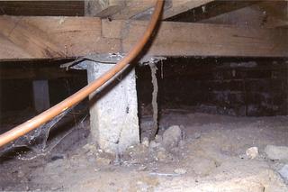 Termite colum hiding behind concrete stump