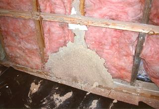 Termite damage hidden in a wall